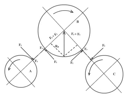 Free Body Diagram Spur Gear System