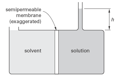 Osmotic Pressure Apparatus