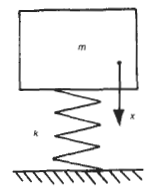 Spring Mass System