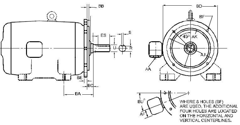 Type D Flange Mounting Foot or Footless Motors